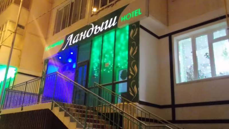 ЛАНДЫШ