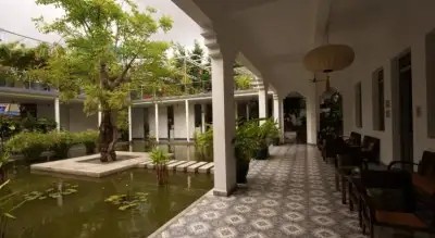 THE PLANTATION