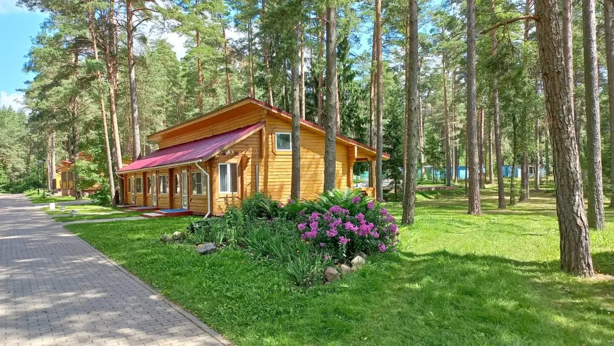 ЛЕСНЫЕ ОЗЕРА