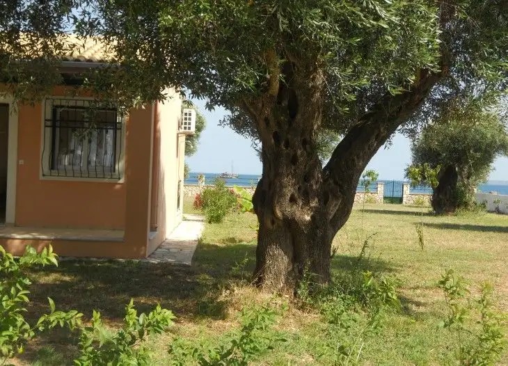 BARBATI BEACH APT