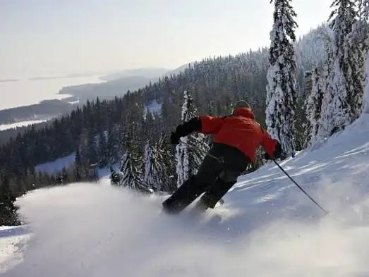SOKOS KOLI