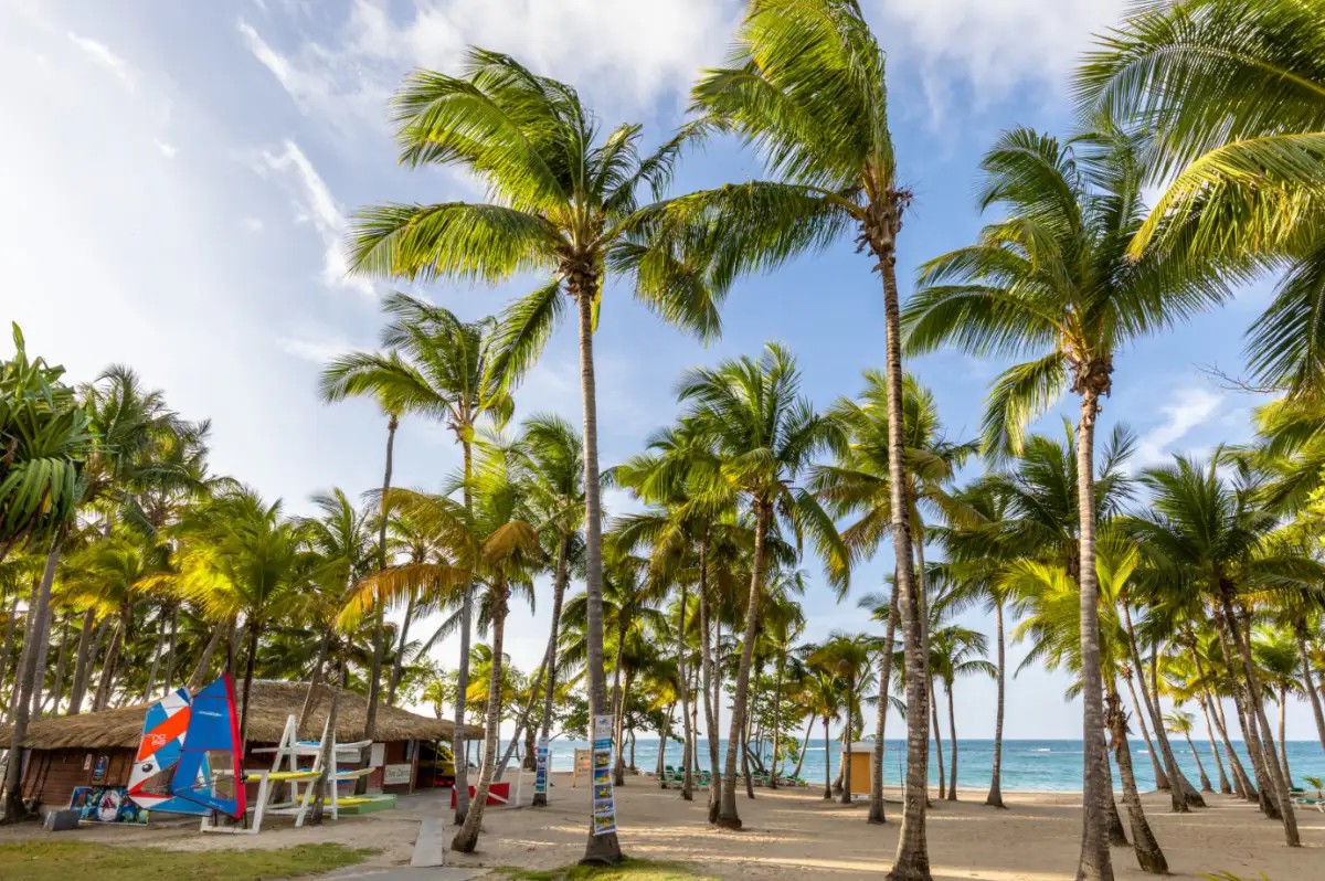 PLAYABACHATA RESORT (EX. RIU MERENGUE)