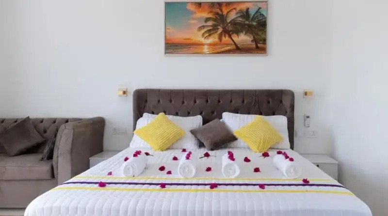 CANARY GOLDEN (EX. CANARY NUNGWI)