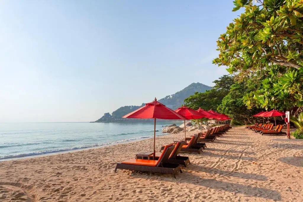 NEW STAR BEACH RESORT