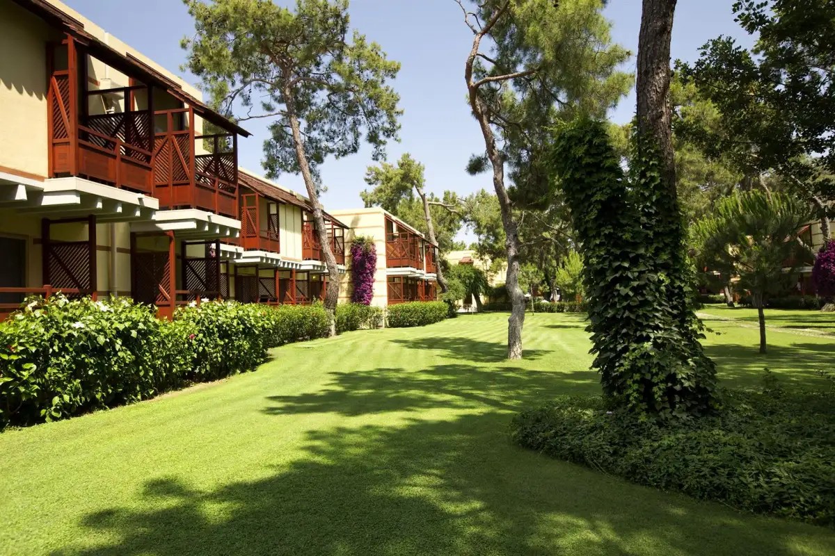 ROBINSON CAMYUVA ADULTS ONLY