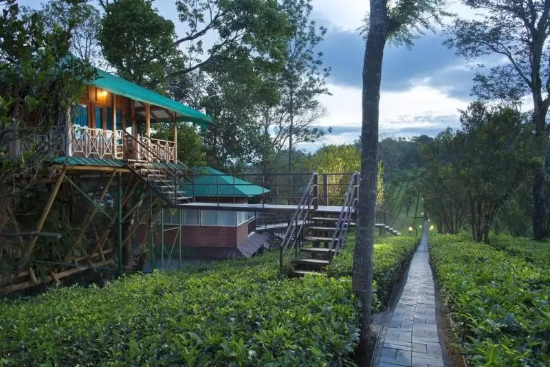 DREAM CATCHER PLANTATION RESORT