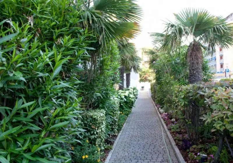 BELLEVUE HOTEL BIBIONE