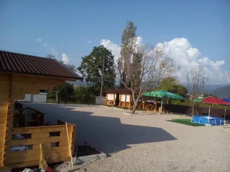 ШАЛЕ АМИНА