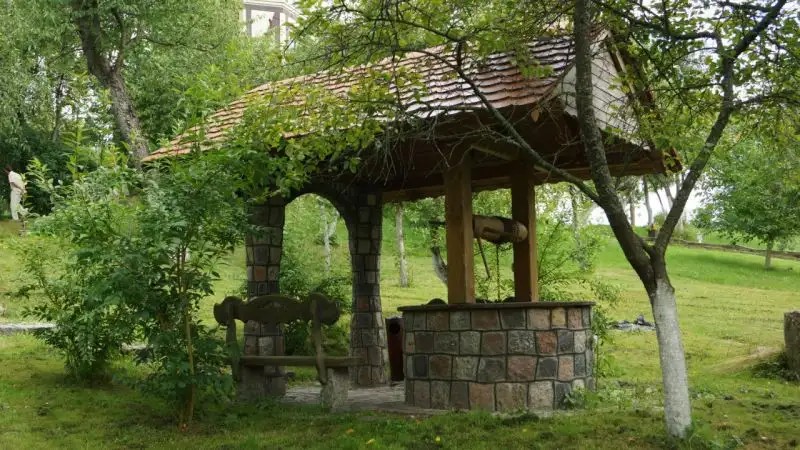САФАРИ-ПАРК МУШКИНО