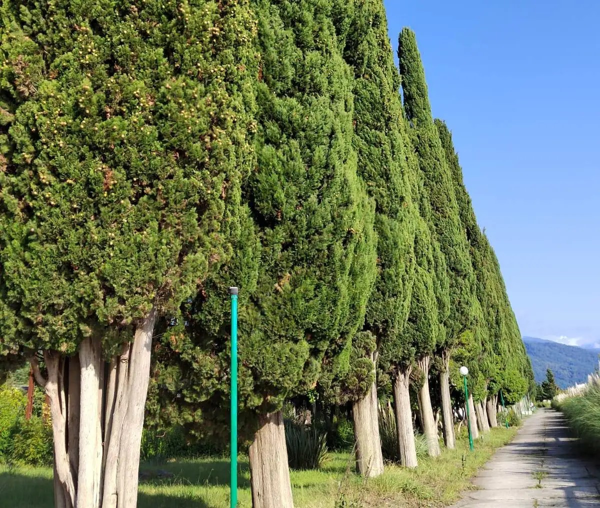 ПСОУ ДОМ ОТДЫХА