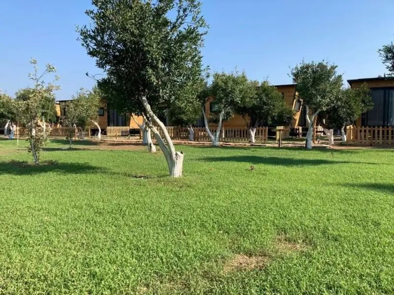BODRUM GAIA TINY HOUSES BUTIK HOTEL