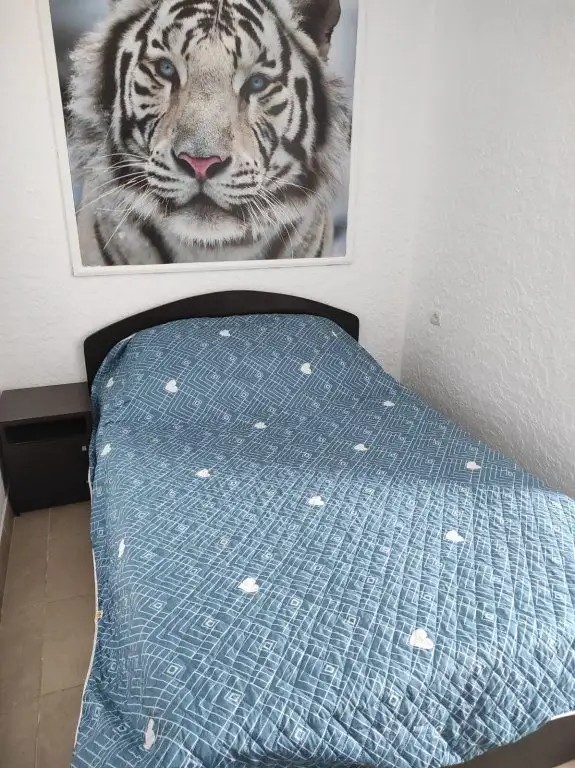 МИЛЕНА