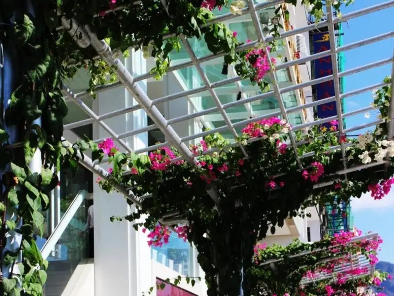 TRUONG HOTEL (EX.CALM SEAS HOTEL)
