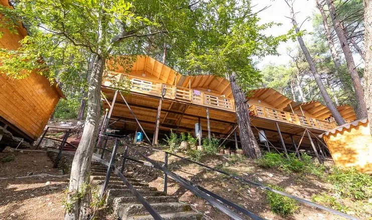 СОЛНЕЧНЫЙ ЛЕТНИЙ