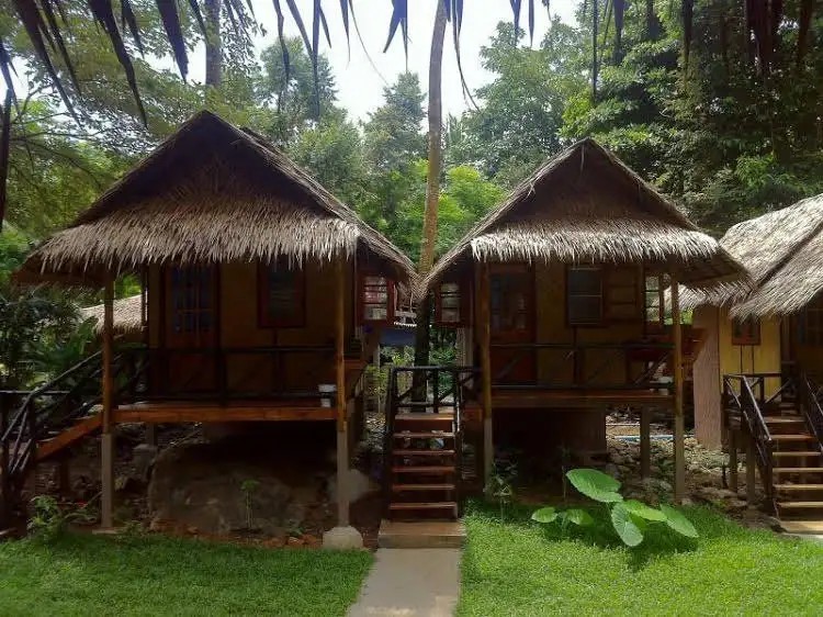 JUNGLE GARDEN