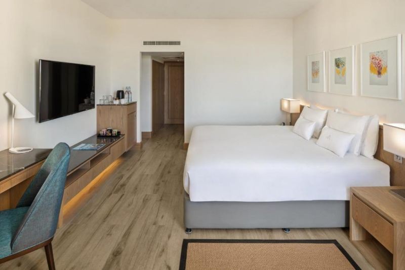 1 bedroom premium suite