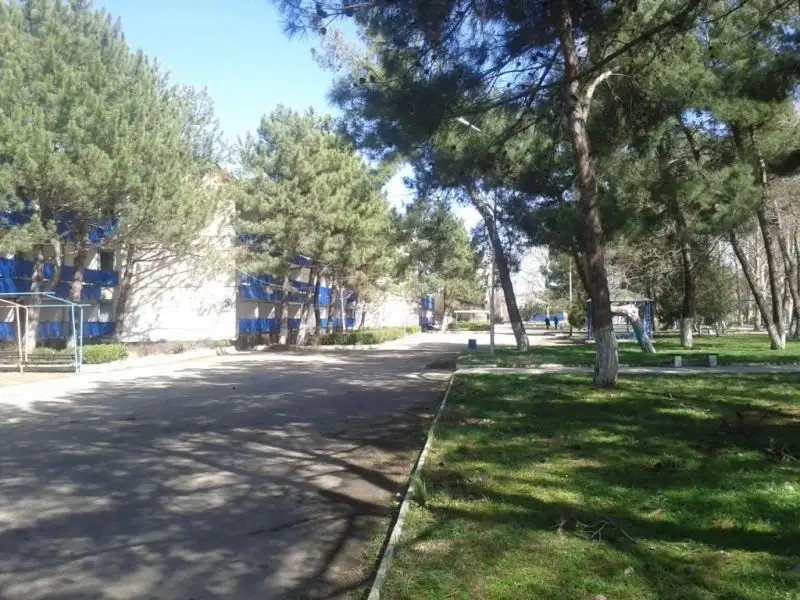 ПОЛЯРНЫЕ ЗОРИ