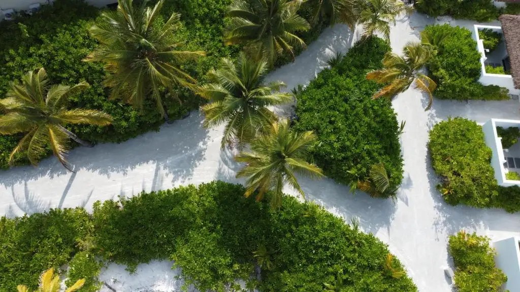 NOOE MALDIVES KUNAAVASHI