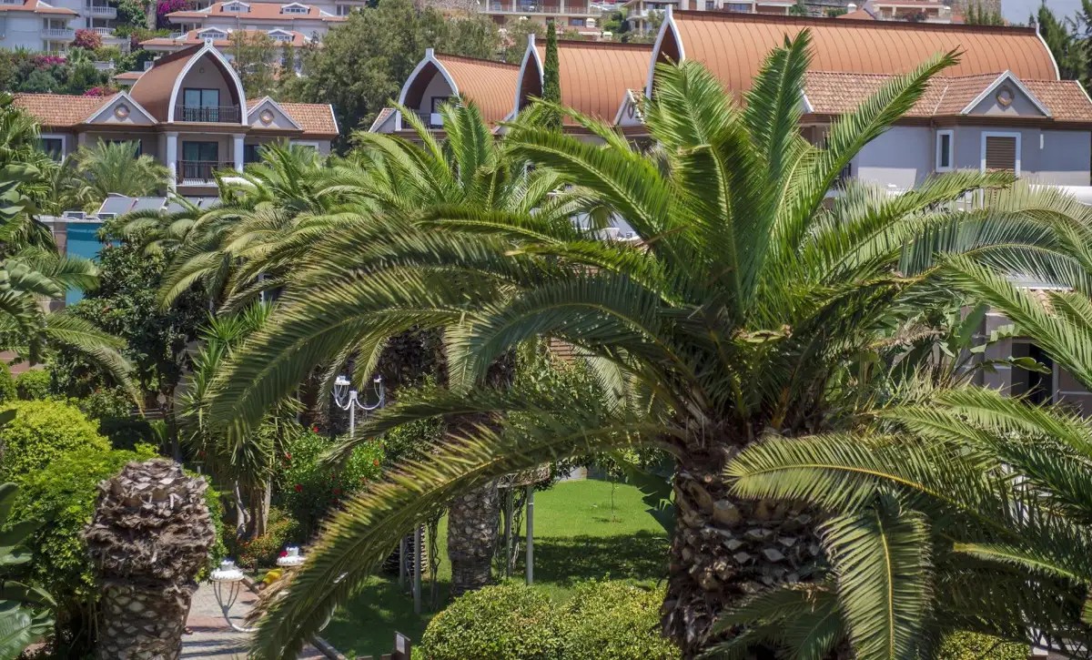 QUATTRO FAMILY CLUB DEM HOTEL HV-1