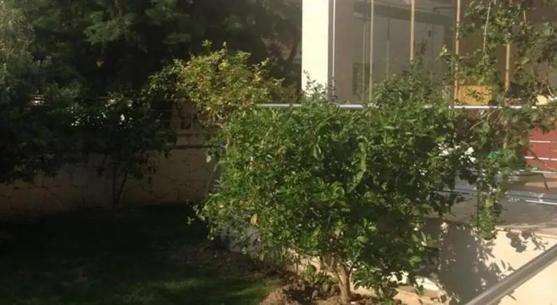 ZEYTIN APART OTEL