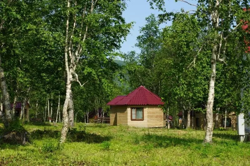 БАЗА ОТДЫХА ЛЕСНАЯ