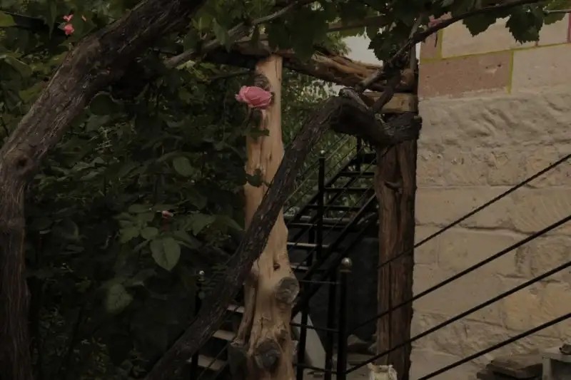 HOTEL PHILOSOPHIA
