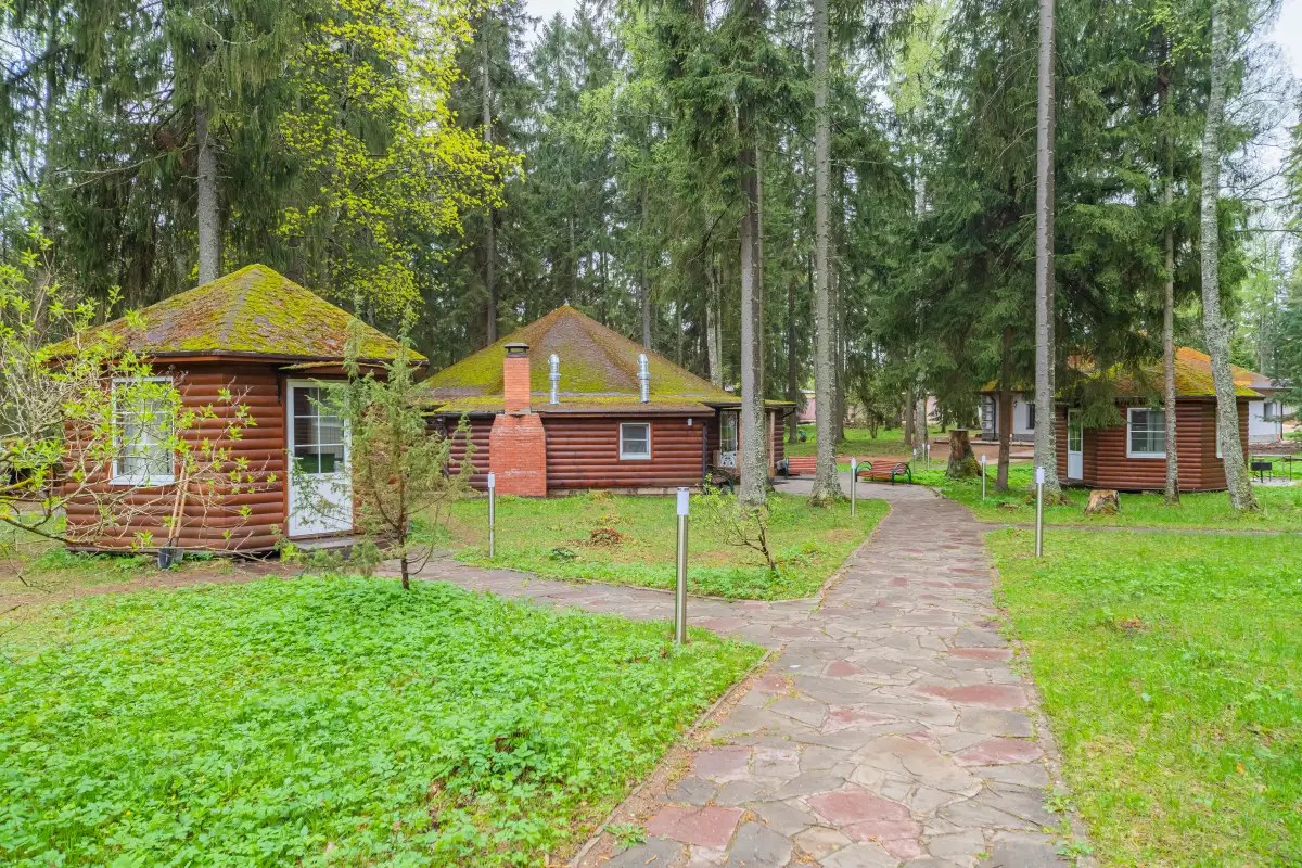 RUZA FOREST