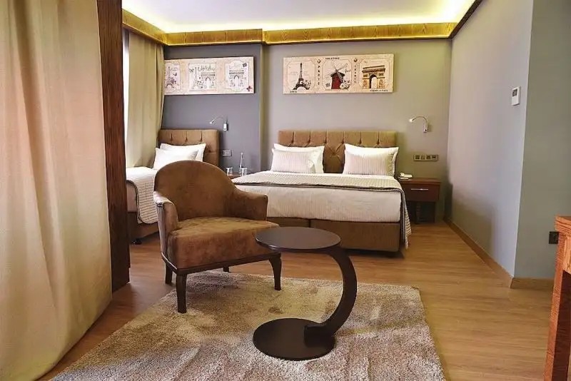 THE ELEGANT HOTEL