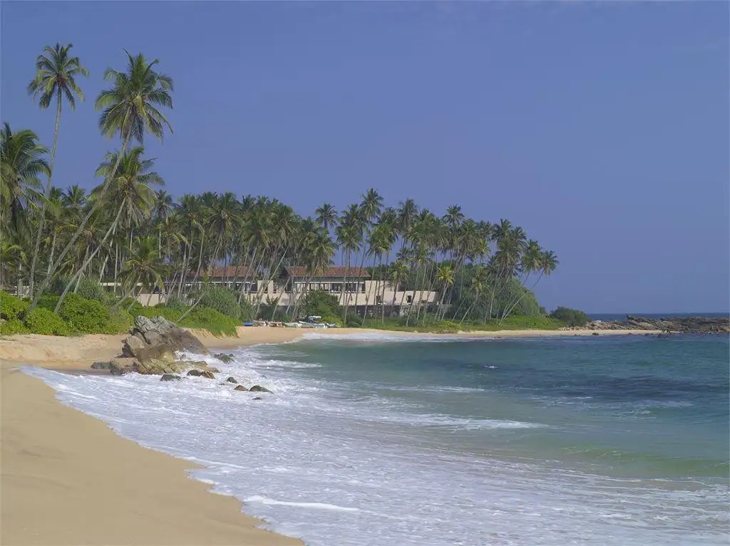AMANWELLA