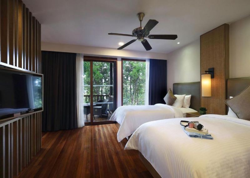 rainforest studio