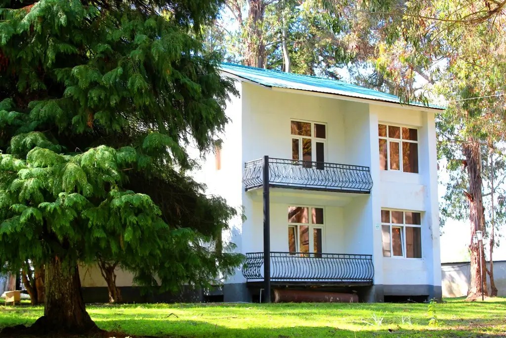 ЭВКАЛИПТОВАЯ РОЩА