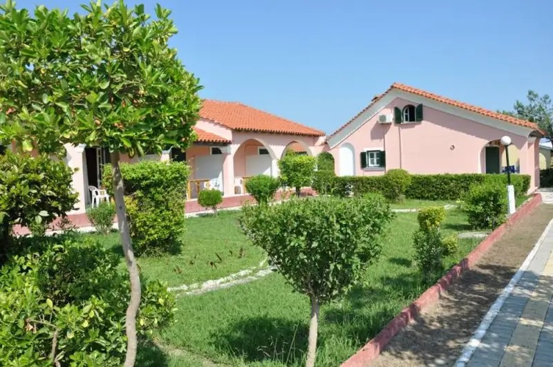 TASSOS APT