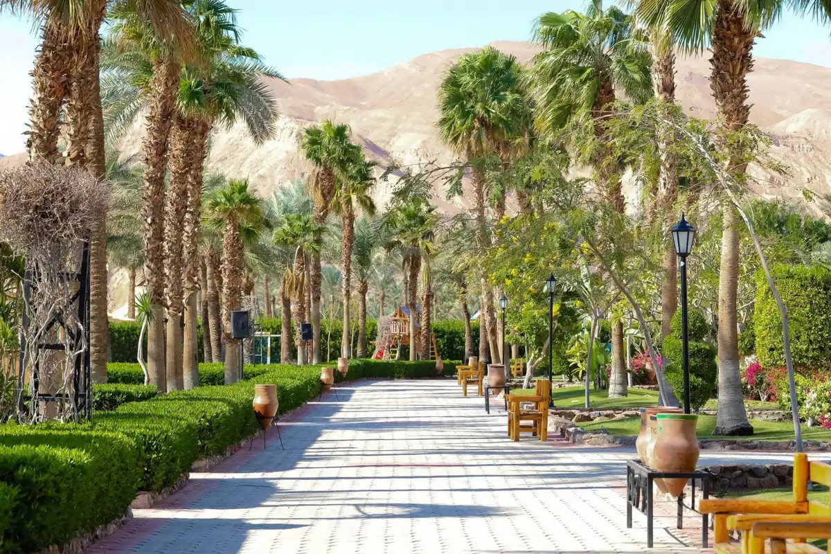 TABA HOTEL & NELSON VILLAGE (EX. HILTON)