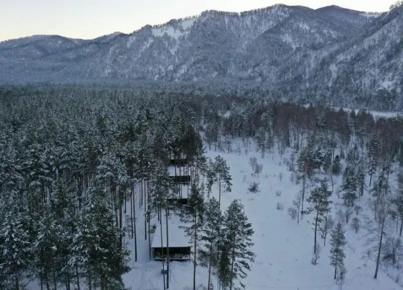 PINEWOOD (ПАЙНВУД)