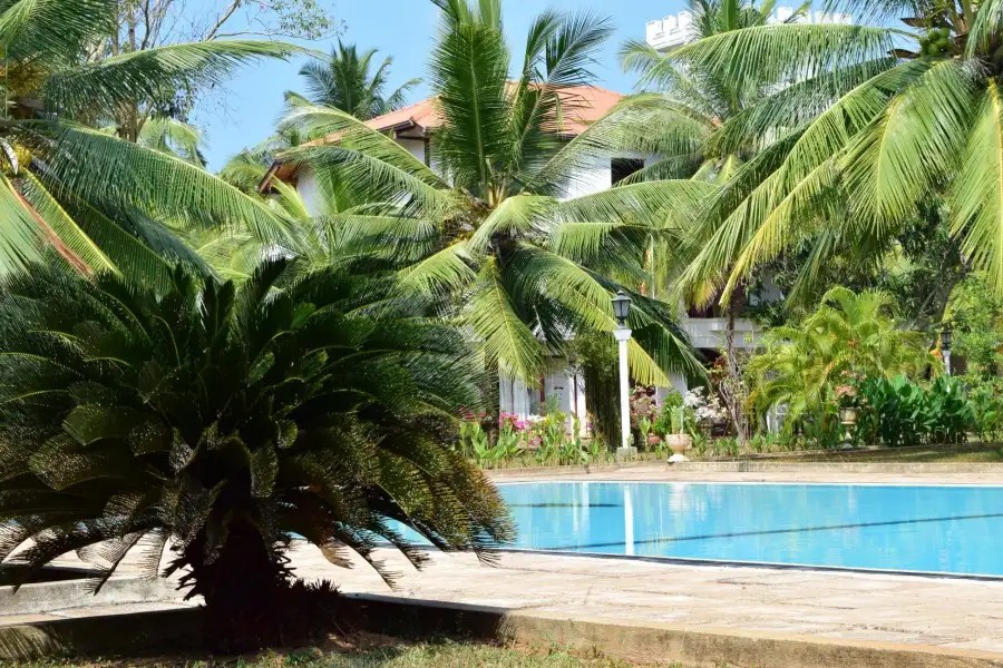 LAGOON PARADISE