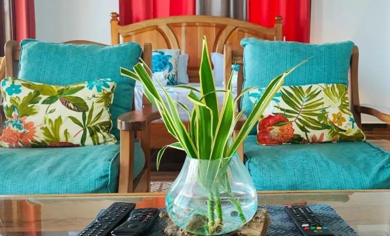 MT SEASIDE APARTMENT 