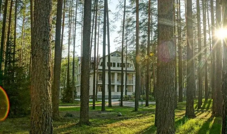RAIVOLA (РАЙВОЛА)