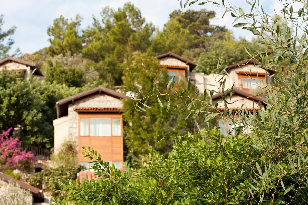 DIONYSOS HOTEL