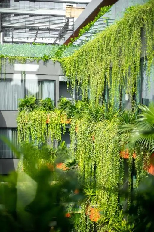 CHI HOUSE DANANG HOTEL AND APARTMENT