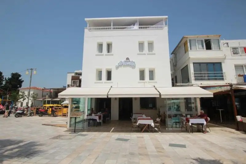 ARTEMIS PENSION