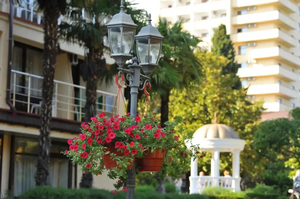 GOLDEN FAMILY RESORT (ГОЛДЕН ФЕМИЛИ РЕЗОРТ)
