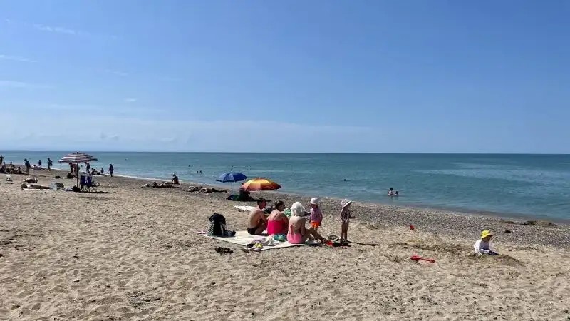 КОКОС ПРИБРЕЖНОЕ
