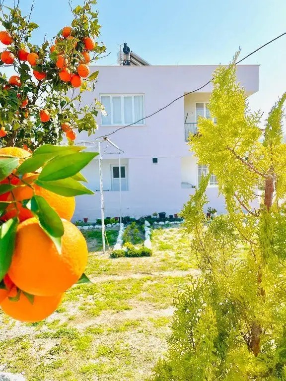 DALAMAN AIRPORT ALIBABA HOUSE HOTEL