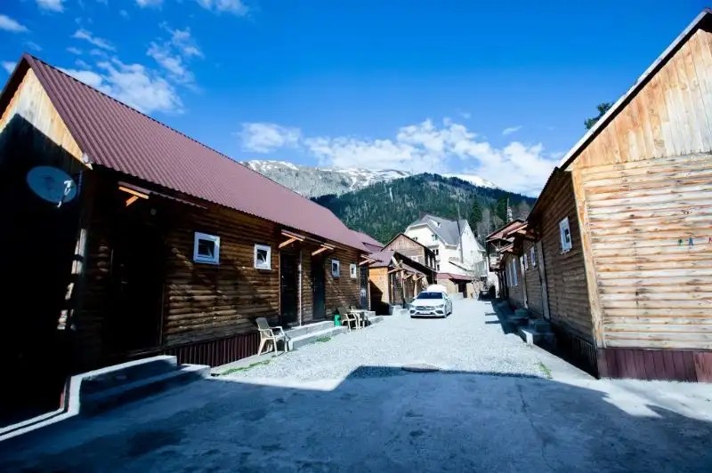 ЛЕСНАЯ СКАЗКА