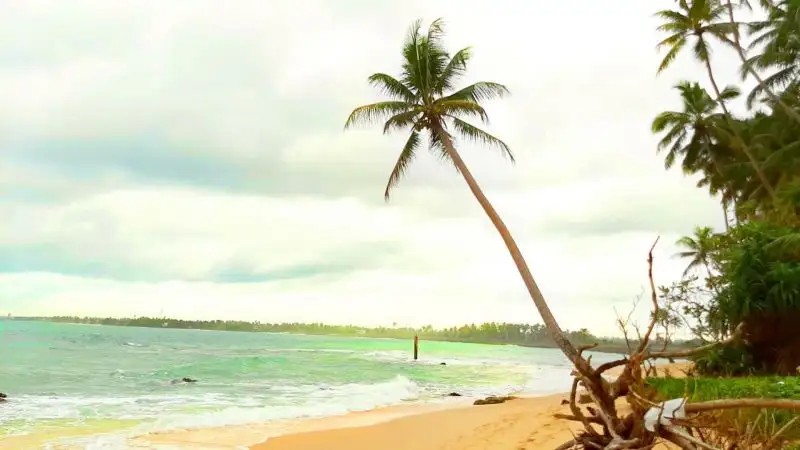 AKURALA BEACH BOUTIQUE RESORT
