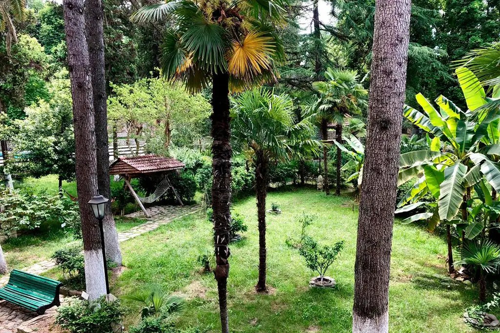 ГОРА ЦАРЯ БАГРАТА