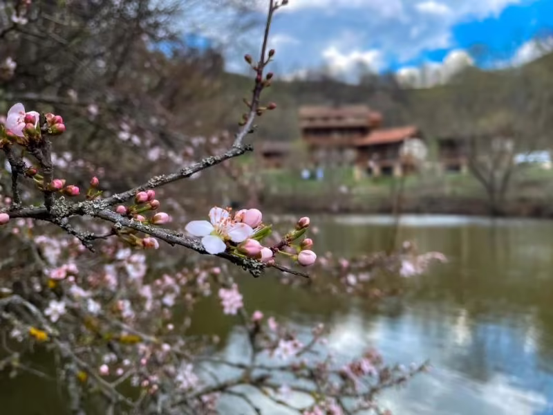 ECOKAYAN DILIJAN RESORT