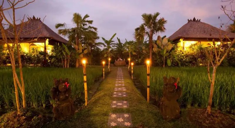 TEPI SAWAH
