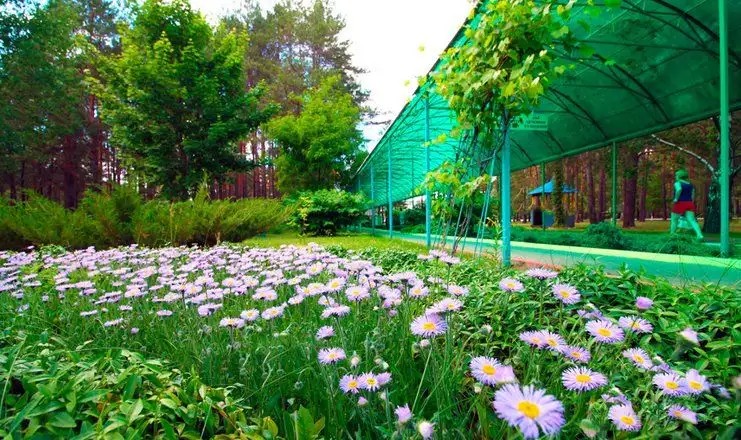 ПРИДНЕПРОВСКИЙ