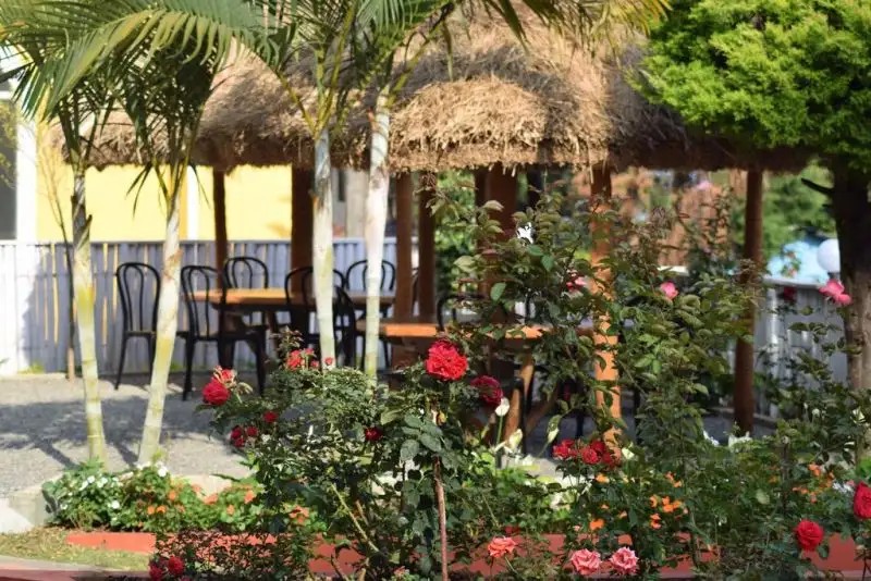 LAKE ZONE HOLIDAY RESORT